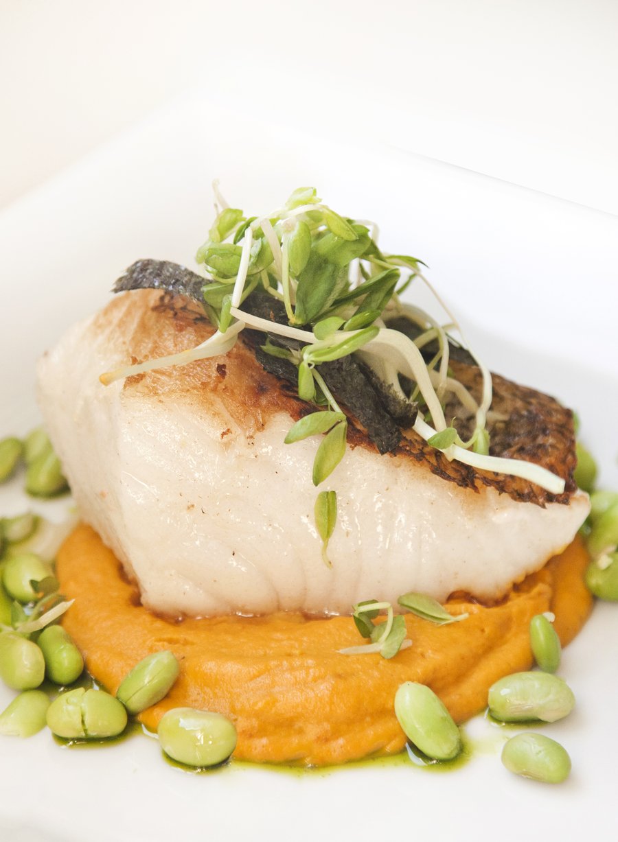 asian sea bass_2.JPG