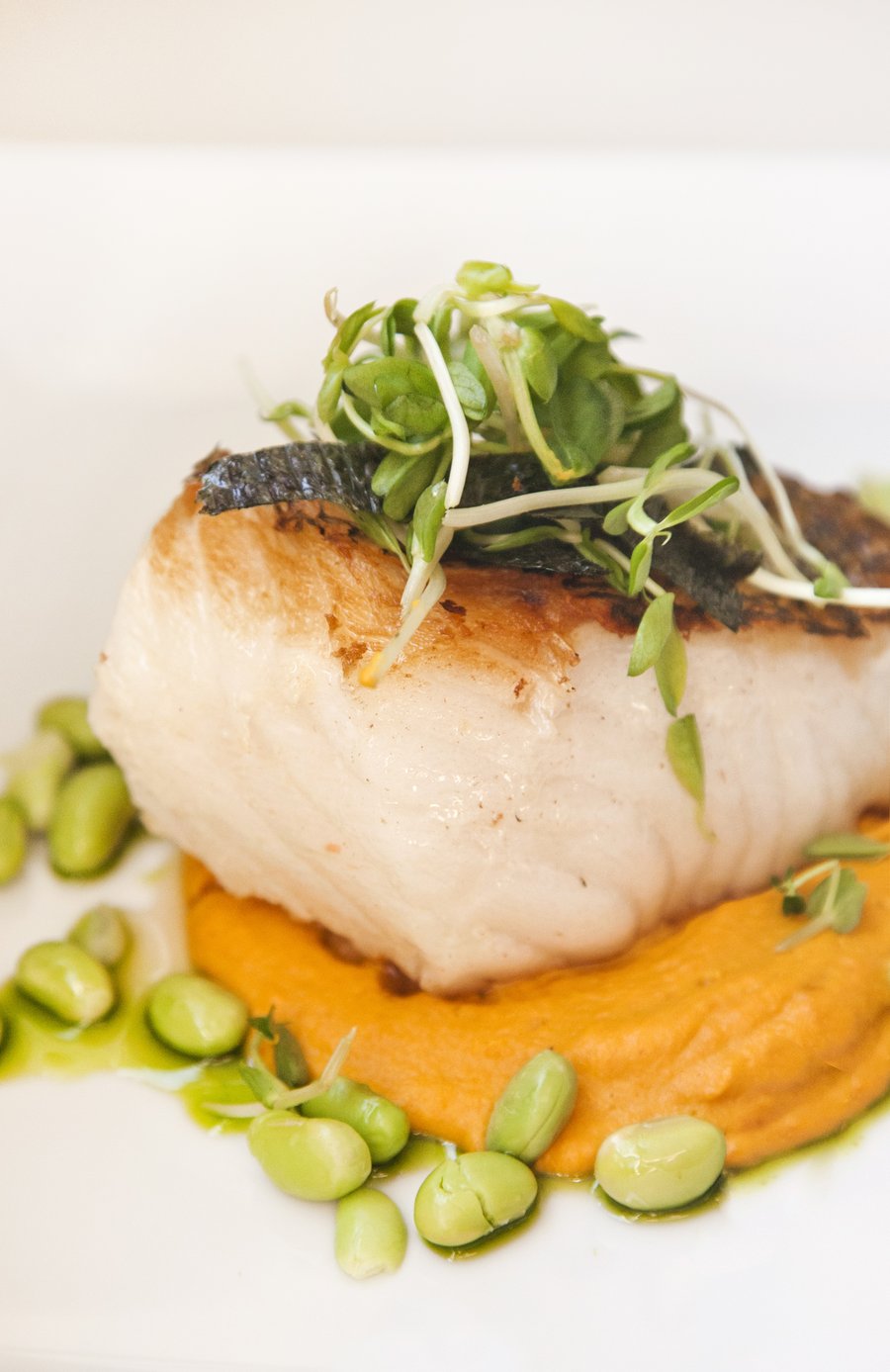 asian sea bass_4.JPG
